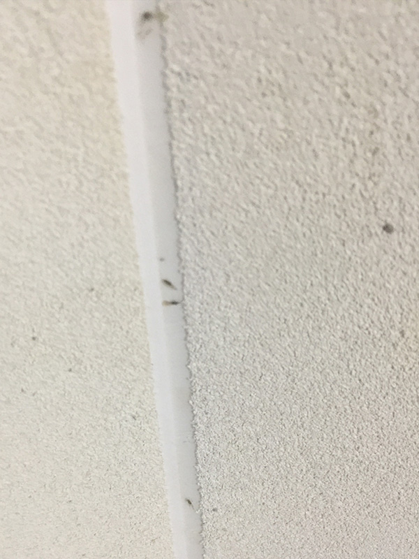 Application of polymer butt tape