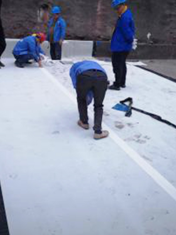 Reinforcement treatment of overlapping edges