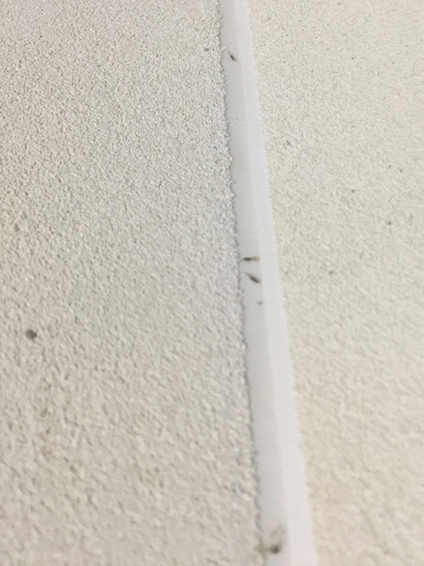 Application of polymer butt tape